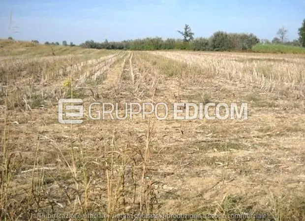 Terreno in Cascina Cavallero, S.P. 243 per Incisa c.n. 109 - 1