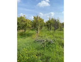 Aste giudiziarie immobiliari online - 10.0