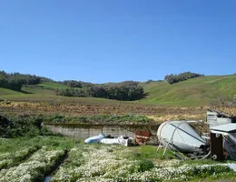 Aste giudiziarie tribunale agrigento online - 8