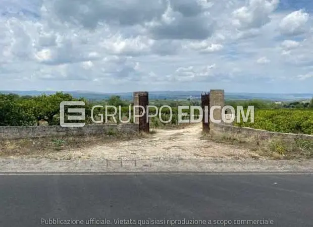 Terreno in frazione di Carlentini (SR), Strada Provinciale 22 Carlentini - Pedagaggi - 1