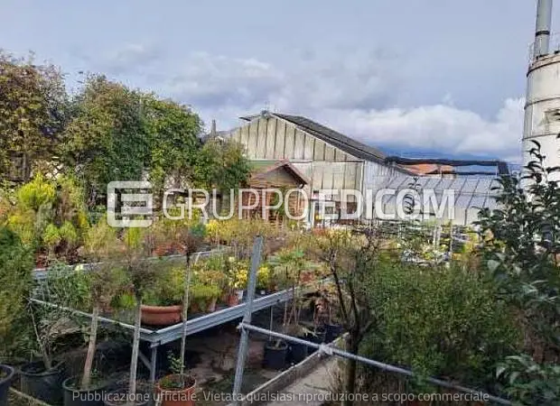 Fabbricati per attività agricole in Via Cinzio Cenedese n. 93 - 1