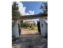 Aste giudiziarie immobiliari online - 12.0