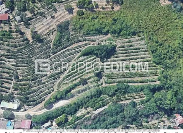 Terreno in via Coste d'Agnano - 1