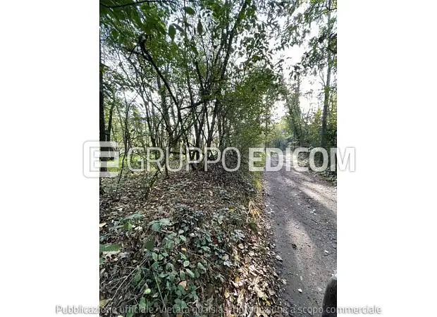 Terreno in Accesso da strada comunale alzaia del Naviglio e strada vicinale snc - 1