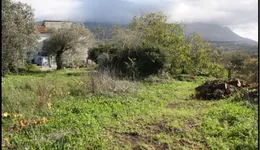 Aste giudiziarie immobiliari online - 4.0